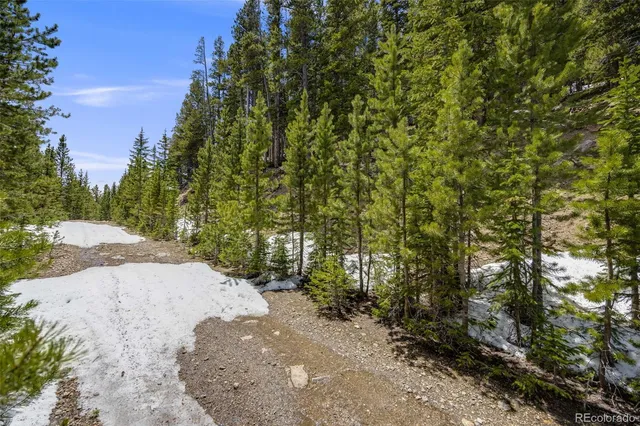 a view of a street with a trees