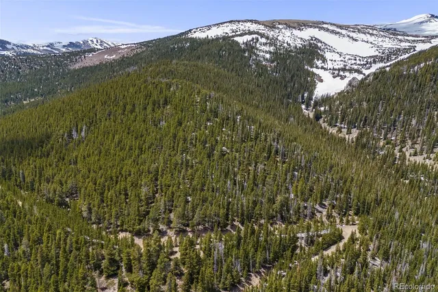 a view of a mountain in the distance in a field