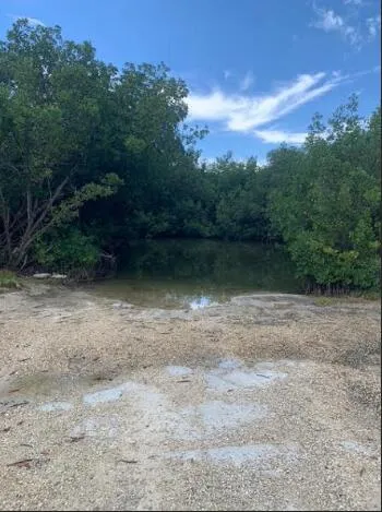 a view of a lake view