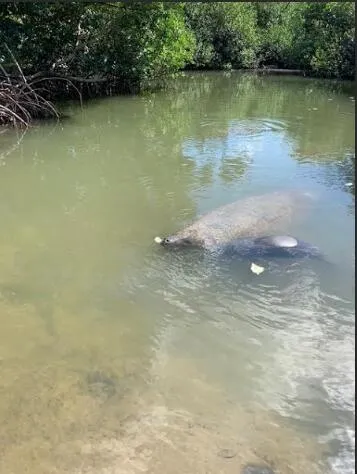 $5,000 | 24840 Park Drive, Summerland Key, FL 33042