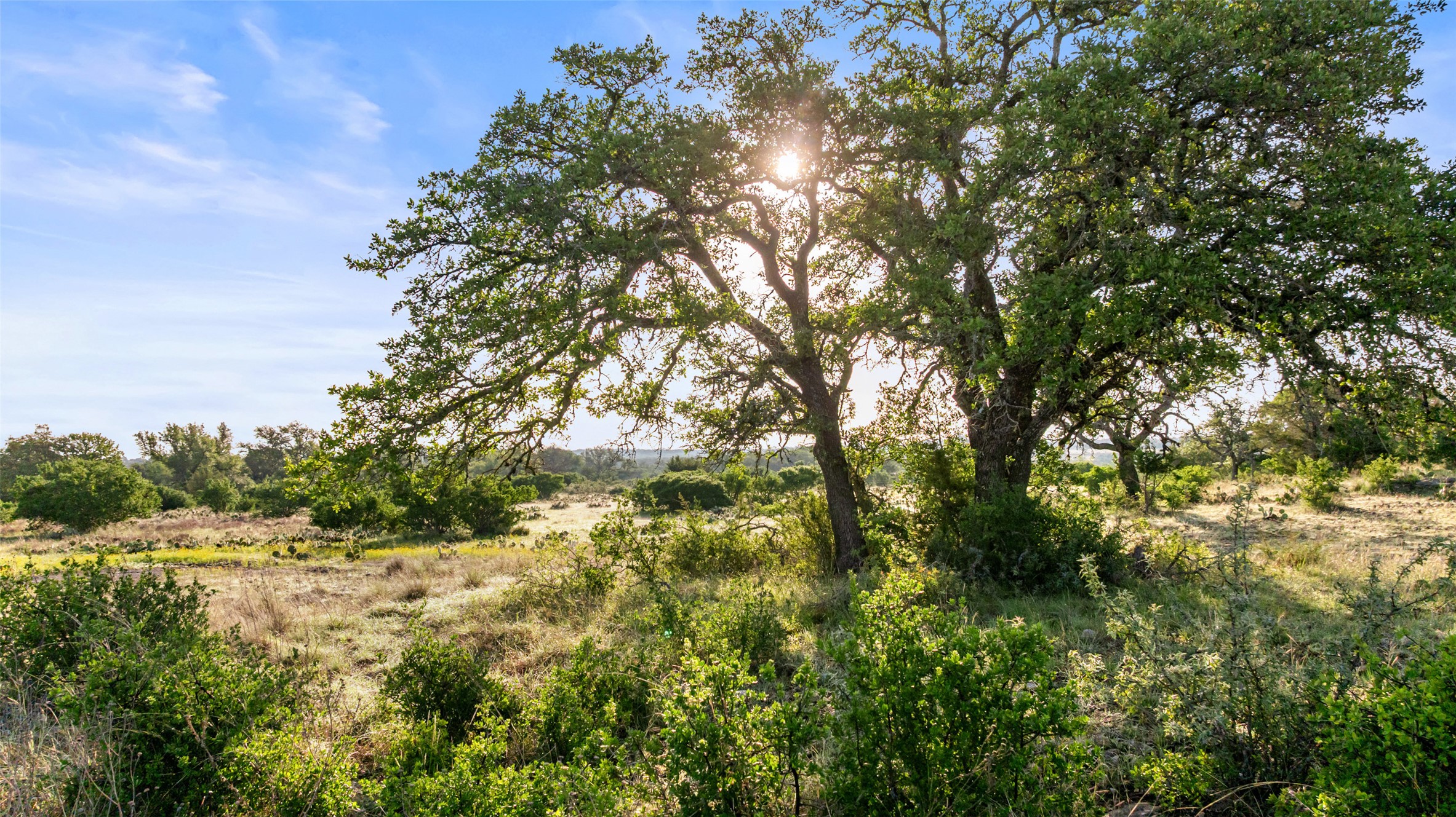 Lot 4 Vista Rdg Drive Round Mountain, TX 78663 - Photo 4 of 21 View of nature