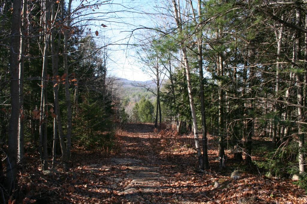 0 Hi Vista Road Brownfield, ME 04010 - Photo 4 of 11 Driveway into lot
