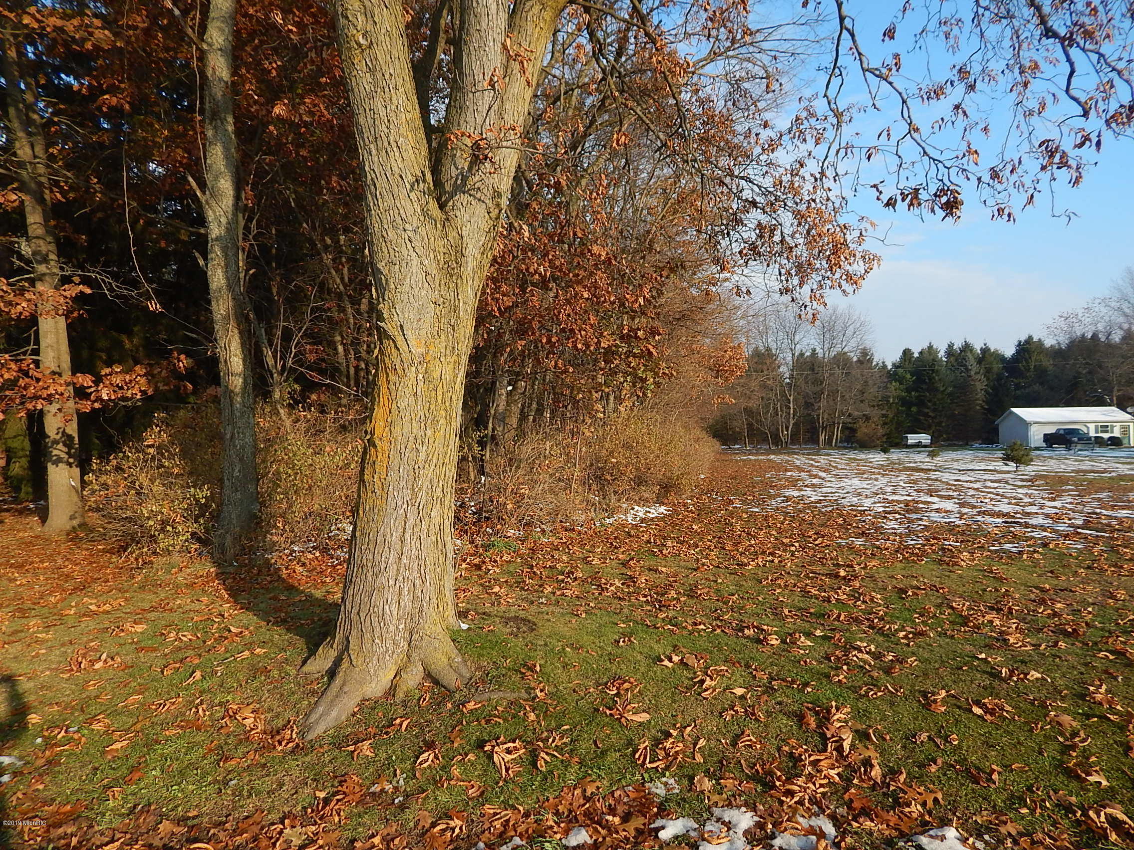 Lot 9 Johnson Road Three Rivers, MI 49093 - Photo 2 of 4 DSCN5660
