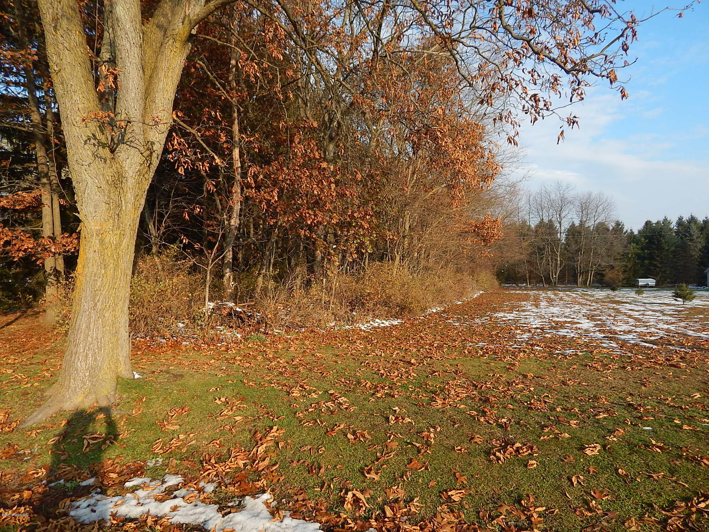 Lot 9 Johnson Road Three Rivers, MI 49093 - Photo 3 of 4 DSCN5661