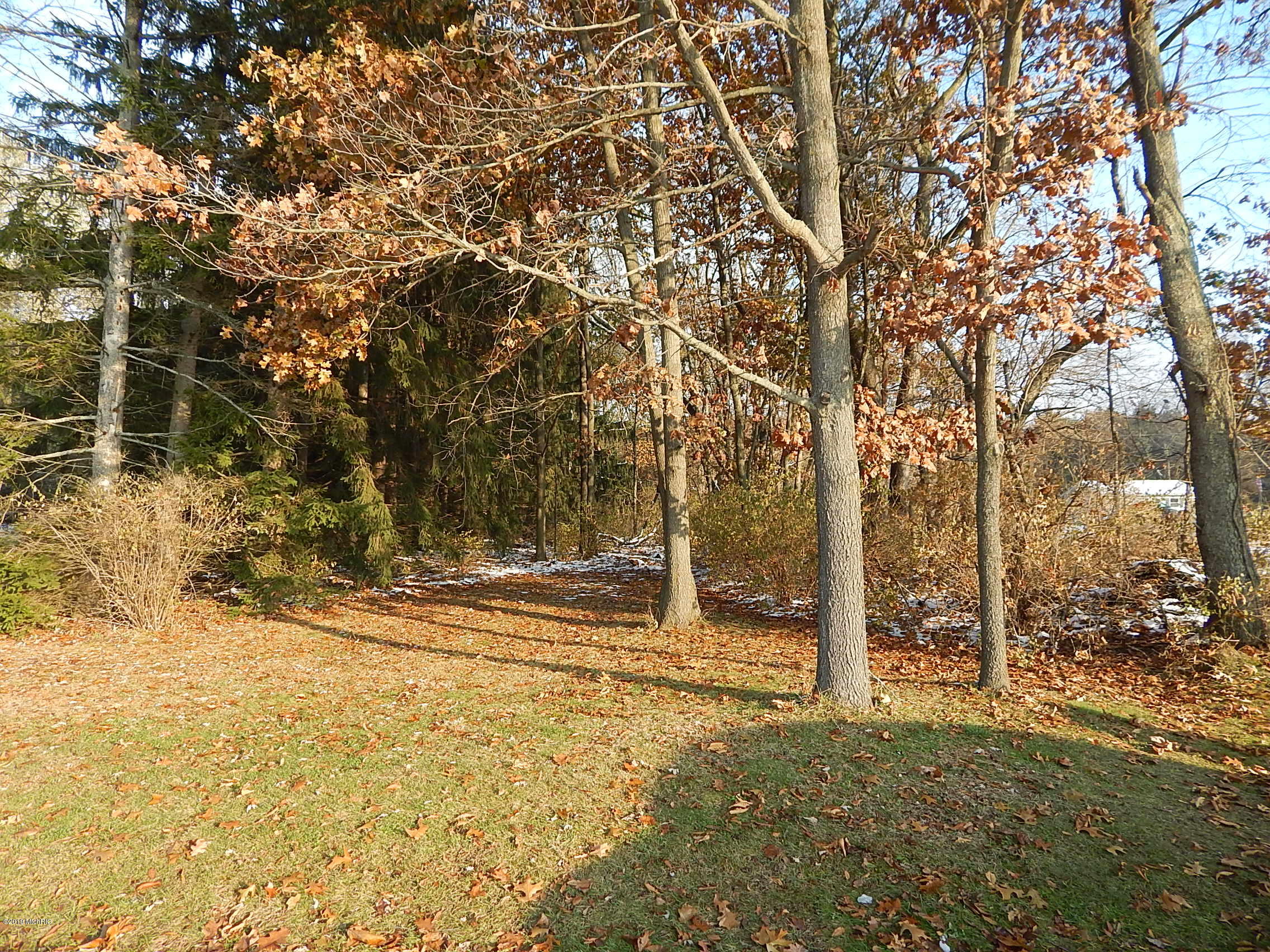 Lot 9 Johnson Road Three Rivers, MI 49093 - Photo 4 of 4 DSCN5662
