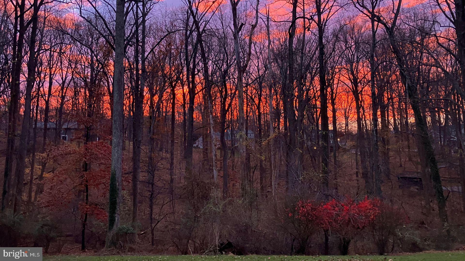 11112 Old Carriage Road Glen Arm, MD 21057 - Photo 4 of 83 Sunset View