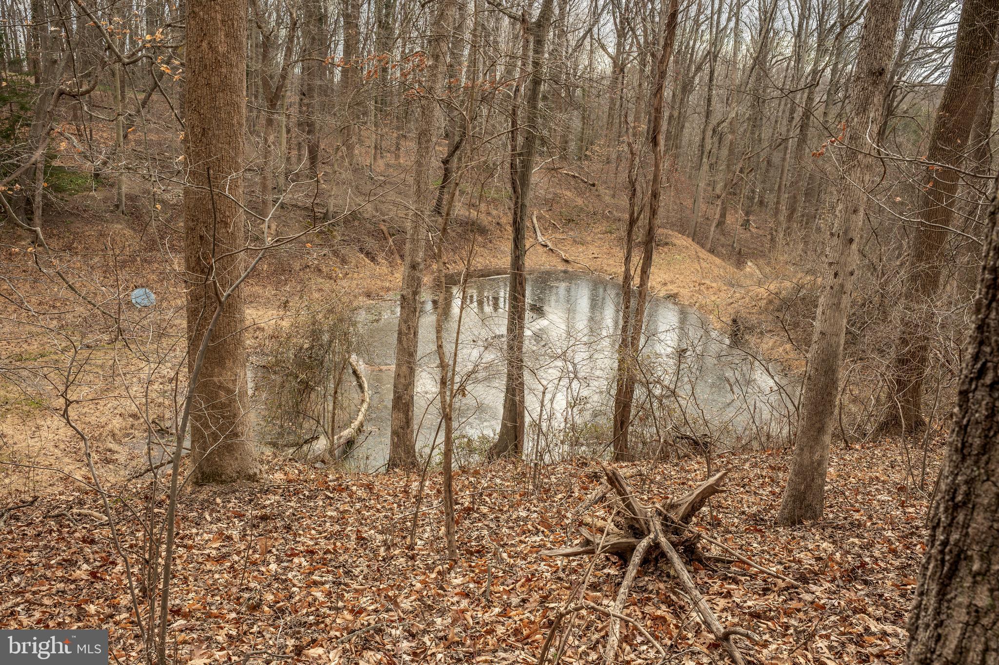 11112 Old Carriage Road Glen Arm, MD 21057 - Photo 80 of 83 Pond View Photo