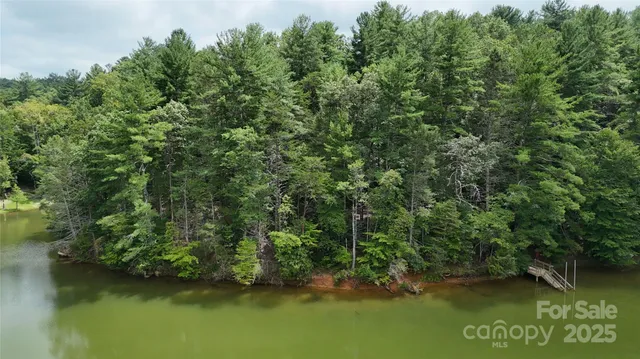 a view of a lake with trees all around