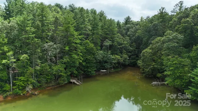 a view of a lake with trees all around