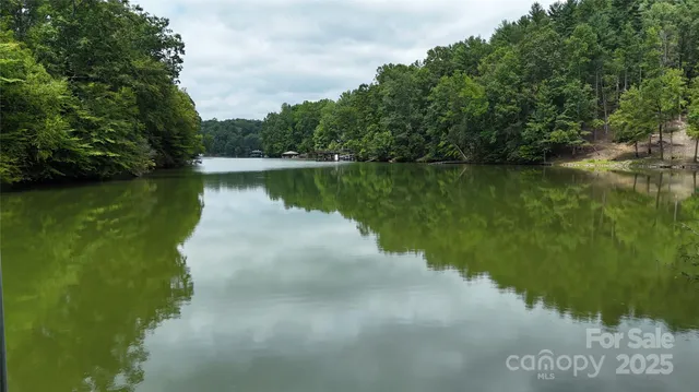 a view of a lake in middle of forest