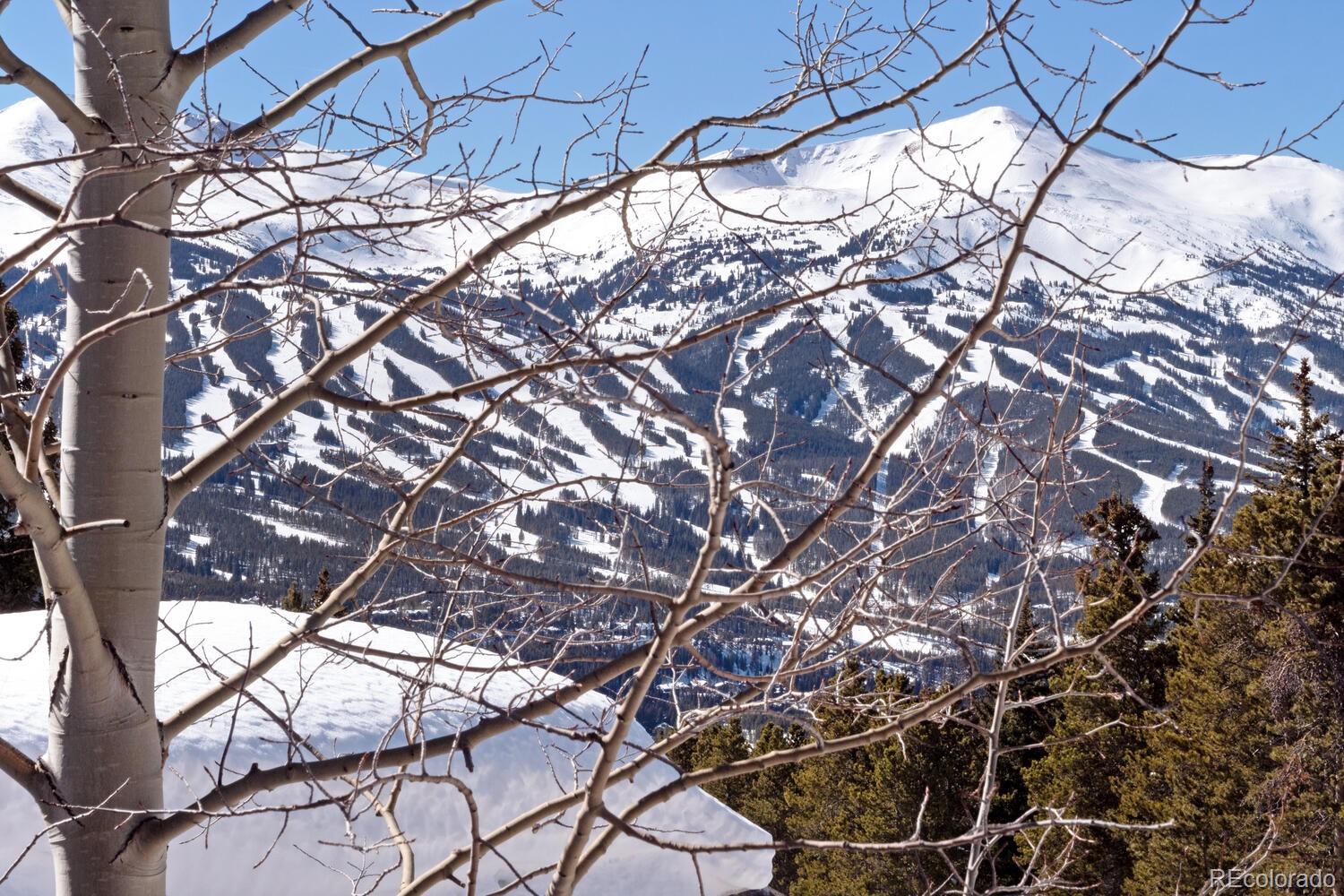 160 Fuller Placer Road Breckenridge, CO 80424 - Photo 16 of 47 a backyard of a house with a tree