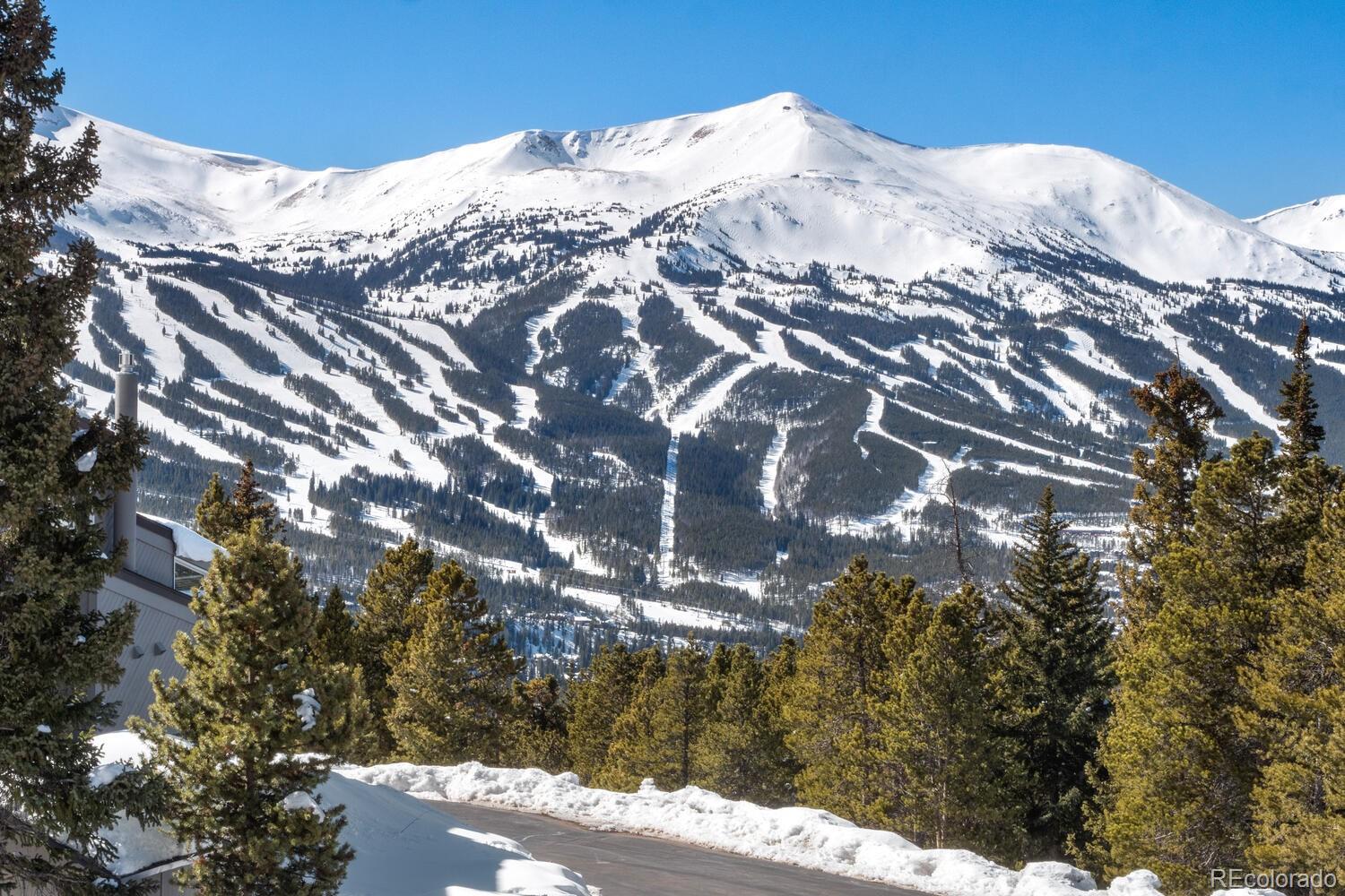 160 Fuller Placer Road Breckenridge, CO 80424 - Photo 2 of 47 a view of a snow on the top of a building