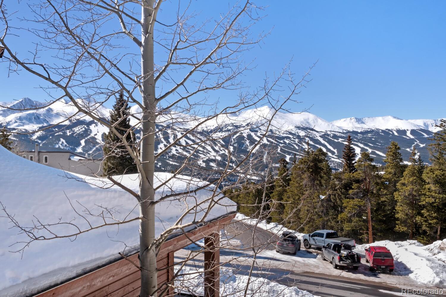 160 Fuller Placer Road Breckenridge, CO 80424 - Photo 43 of 47 a backyard of a house with large trees