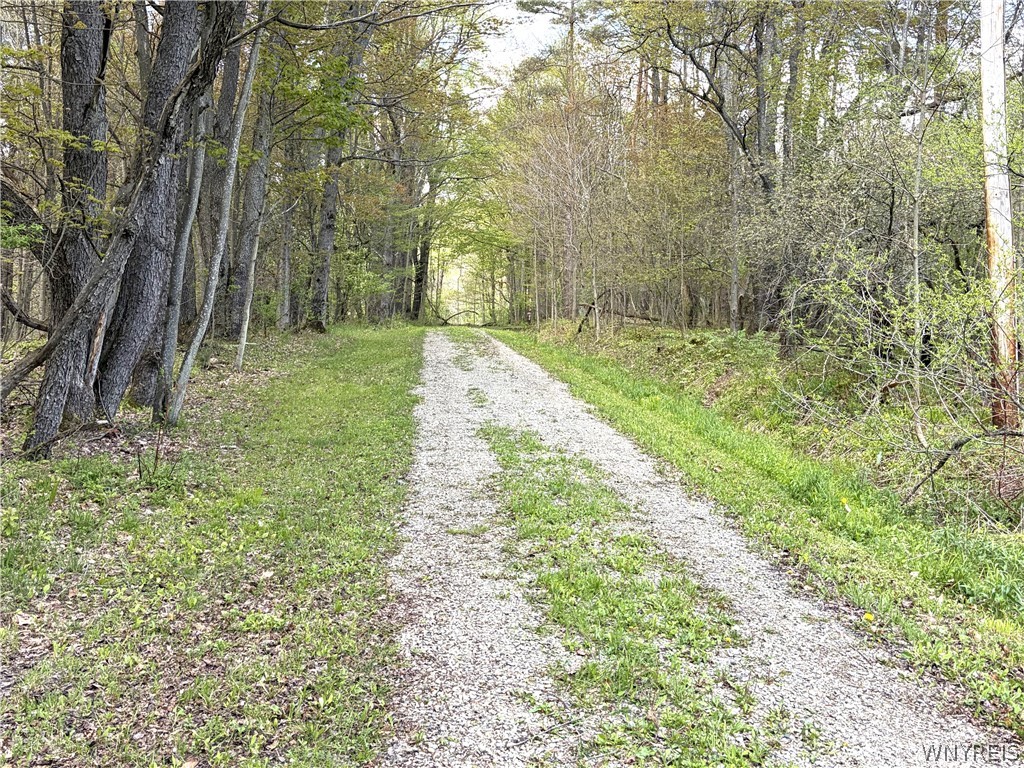 11709 Scotch Road Freedom, NY 14065 - Photo 25 of 30