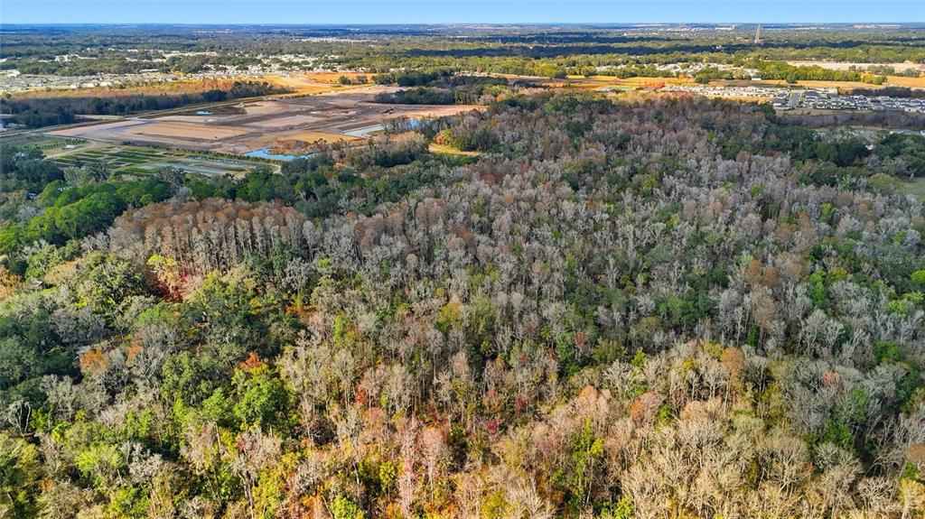 Higginson Road Zephyrhills, FL 33540 - Photo 11 of 12 a view of an ocean and beach