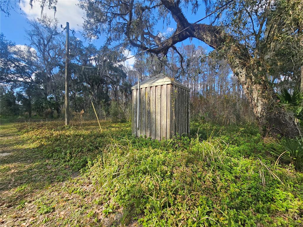 Higginson Road Zephyrhills, FL 33540 - Photo 4 of 12 a view of a backyard