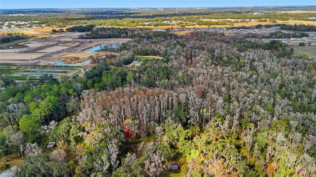 Higginson Road Zephyrhills, FL 33540 - Photo 10 of 12 a view of an ocean and beach