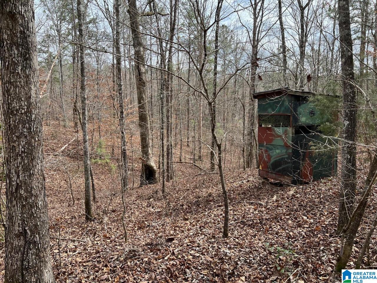 Plyers Mill Road, Unit 43 Alexander City, AL 35010 - Photo 19 of 27