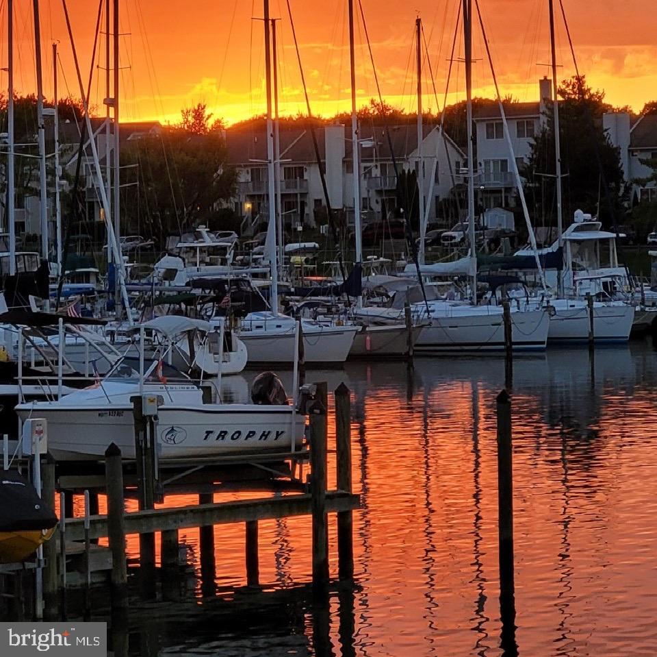 34 Queen Anne Way, Unit F Chester, MD 21619 - Photo 21 of 21 a view of river and trees in the background