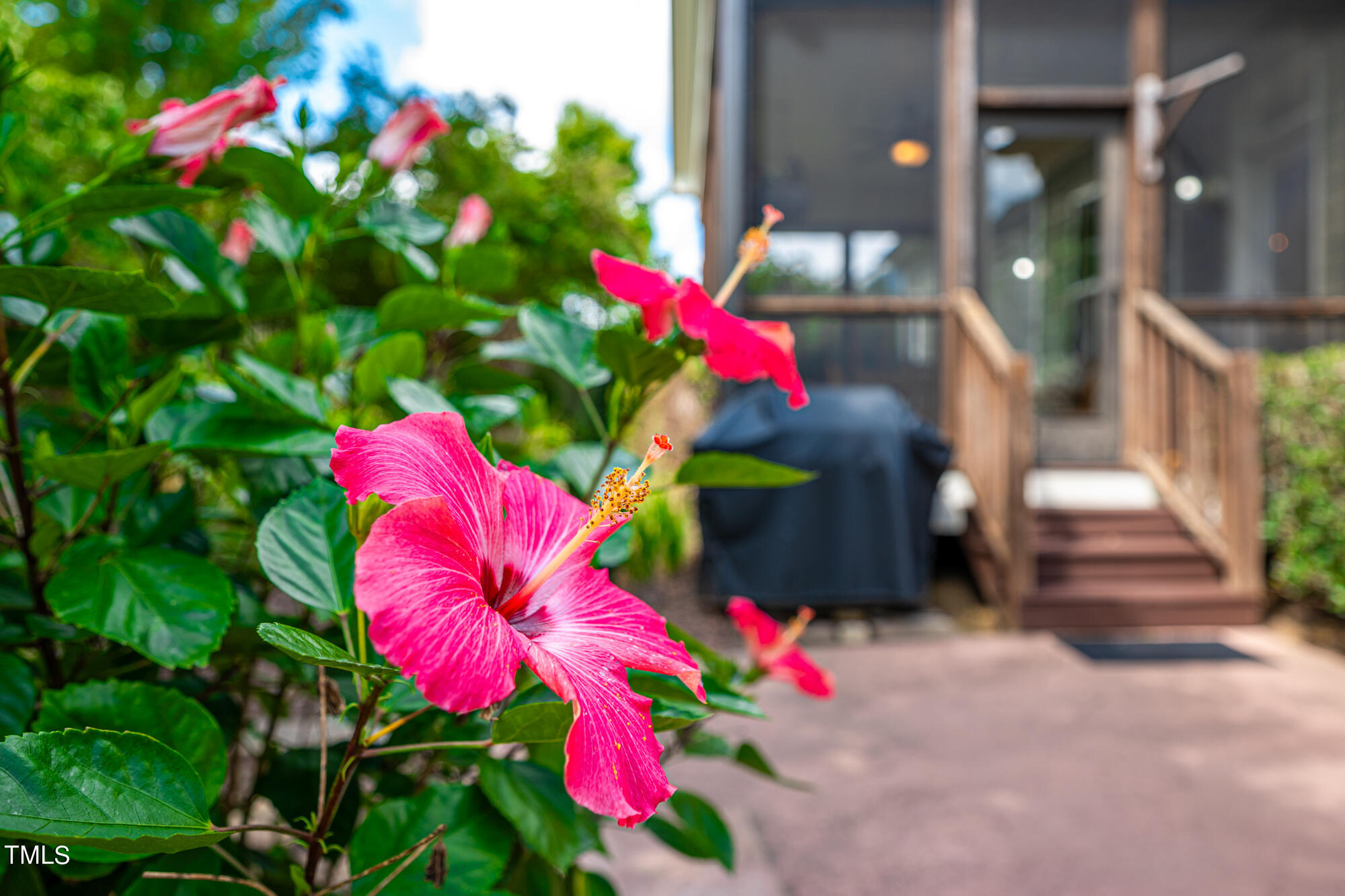 589 Bennett Mountain Chapel Hill, NC 27516 - Photo 36 of 45 589BennettMountain-43