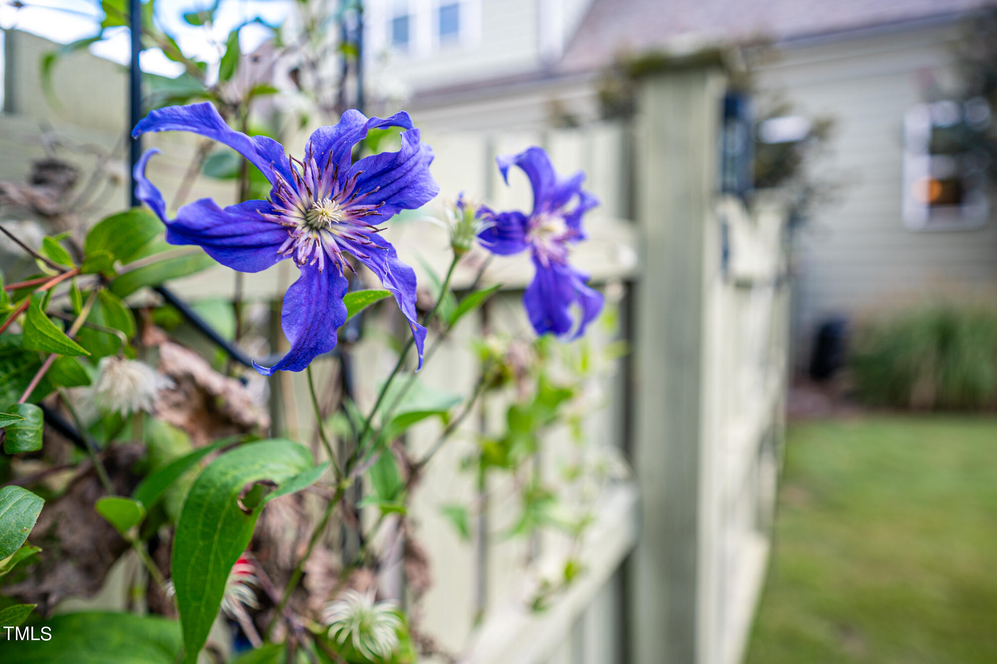 589 Bennett Mountain Chapel Hill, NC 27516 - Photo 38 of 45 589BennettMountain-50