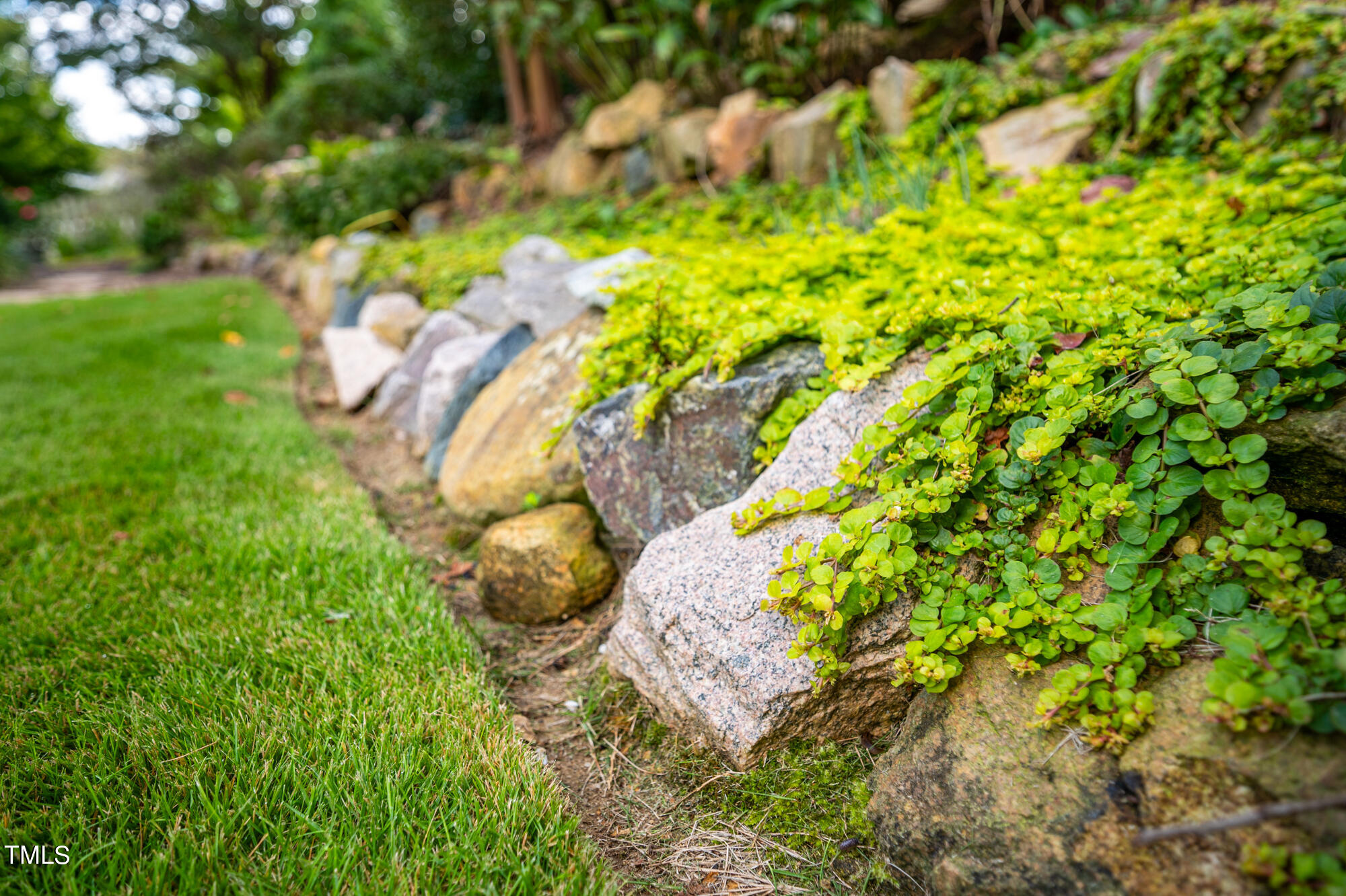 589 Bennett Mountain Chapel Hill, NC 27516 - Photo 39 of 45 589BennettMountain-52