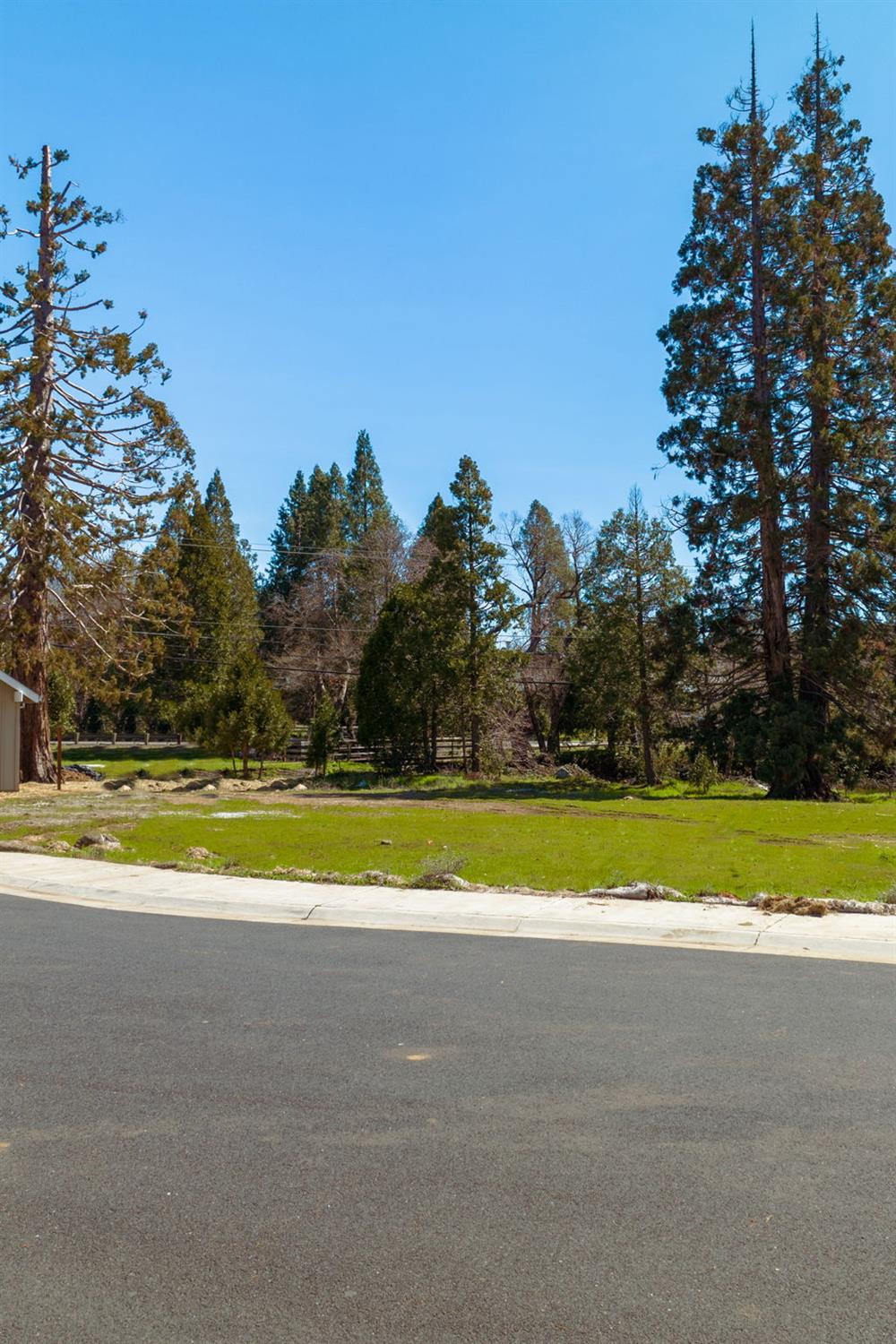 128 Creekside Court Murphys, CA 95247 - Photo 9 of 12