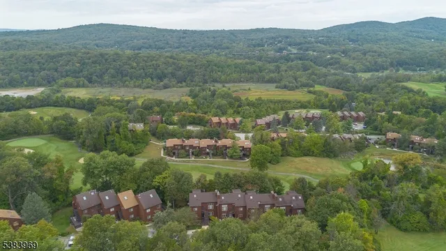 an aerial view of a town with couple of houses