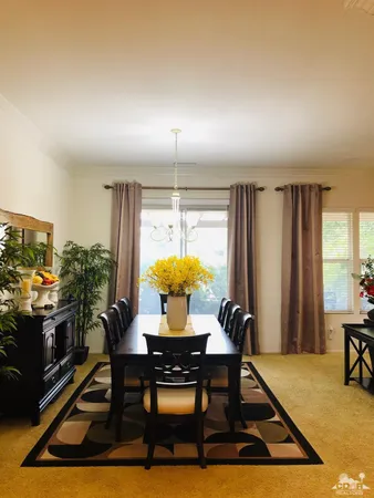 a room with furniture a rug and a potted plant