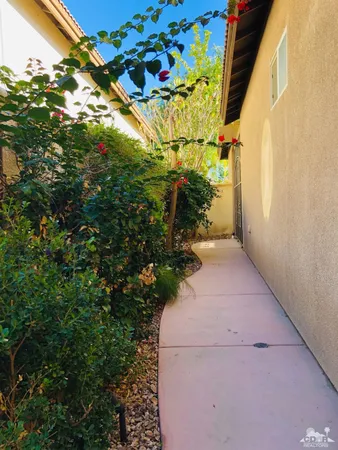 a view of a yard with plants