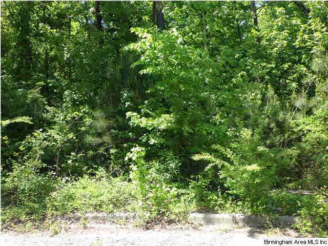 Mountain Lake Trail, Unit 23 Alabaster, AL 35007 - Photo 1 of 1
