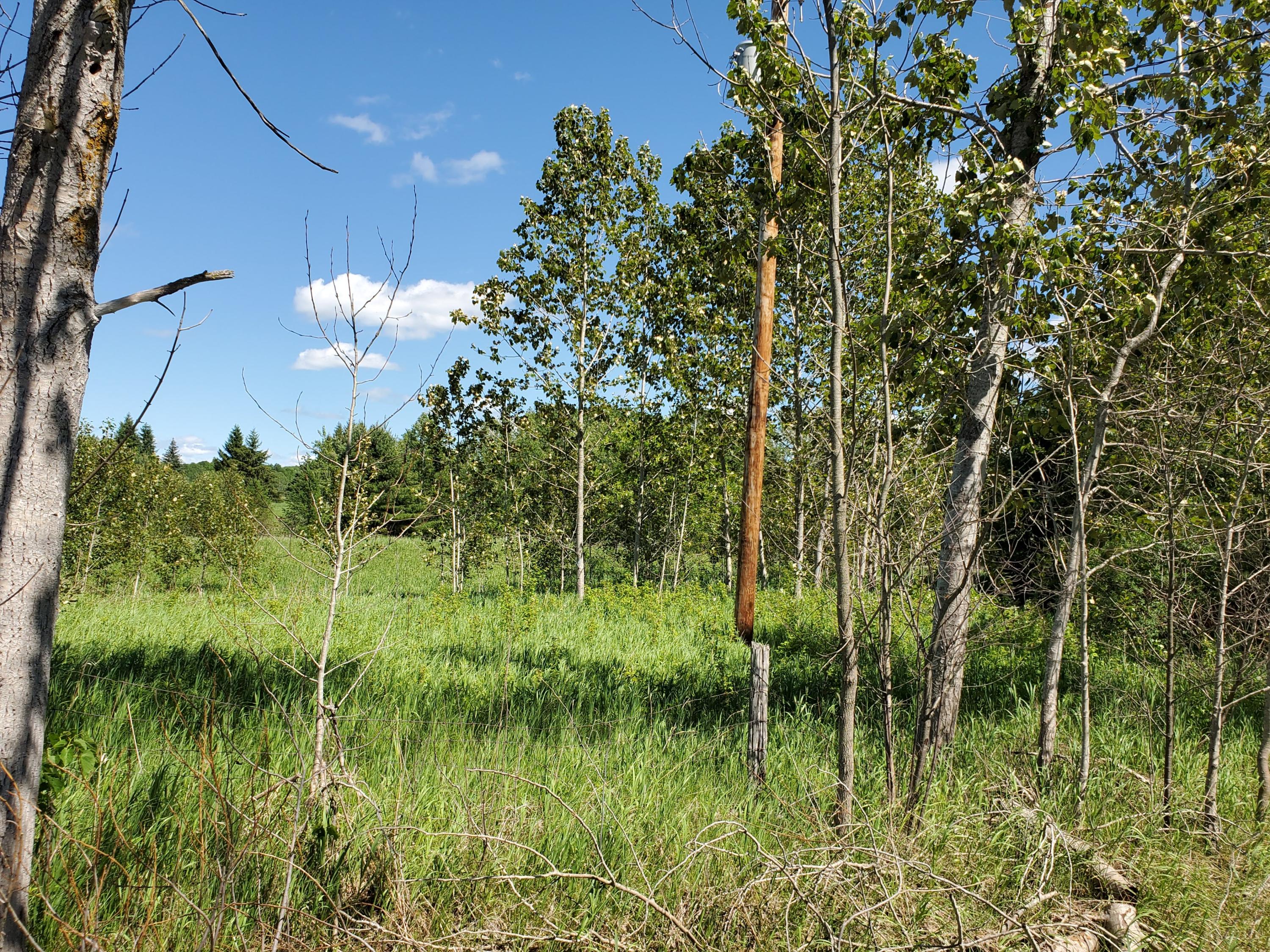 Tower Road Curran, MI 48728 - Photo 12 of 13 Gallery Image 12