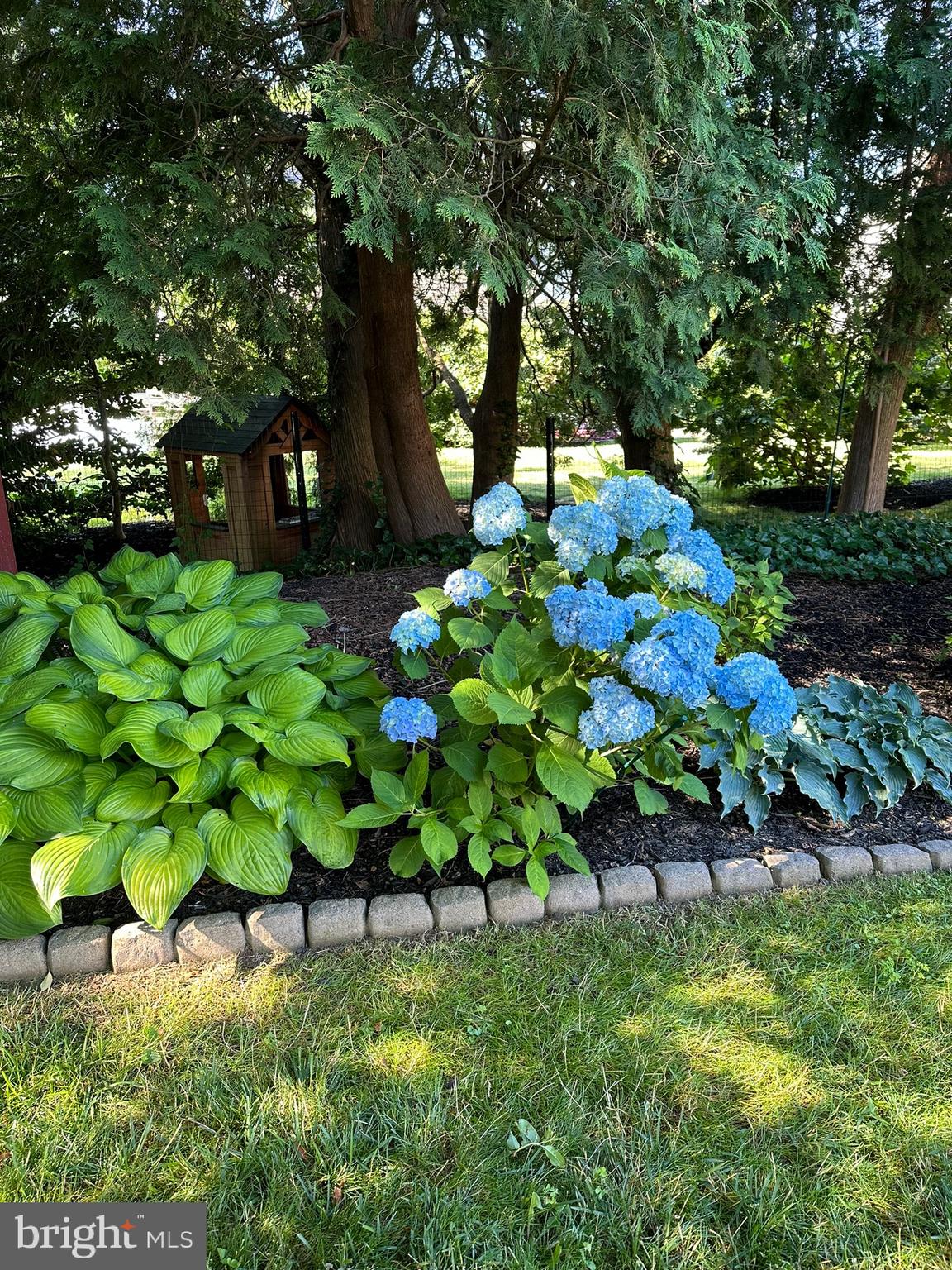 120 Richmond Road Paoli, PA 19301 - Photo 4 of 15 a backyard of a house with lots of green space