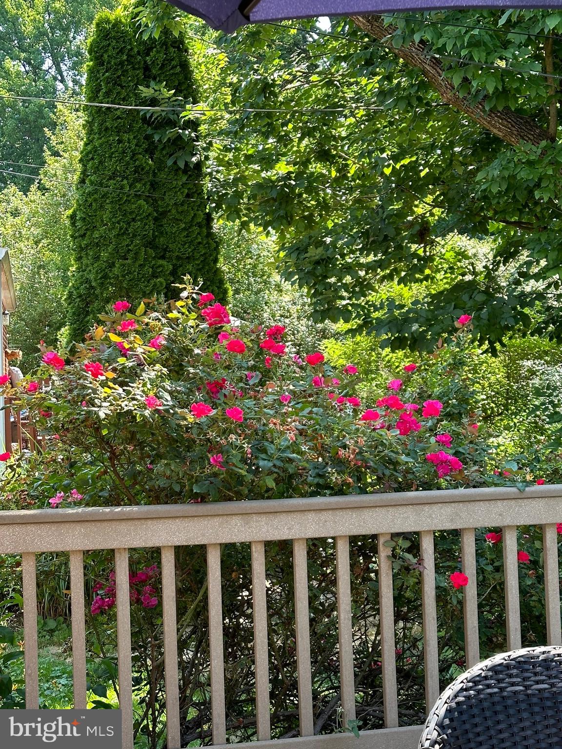 120 Richmond Road Paoli, PA 19301 - Photo 6 of 15