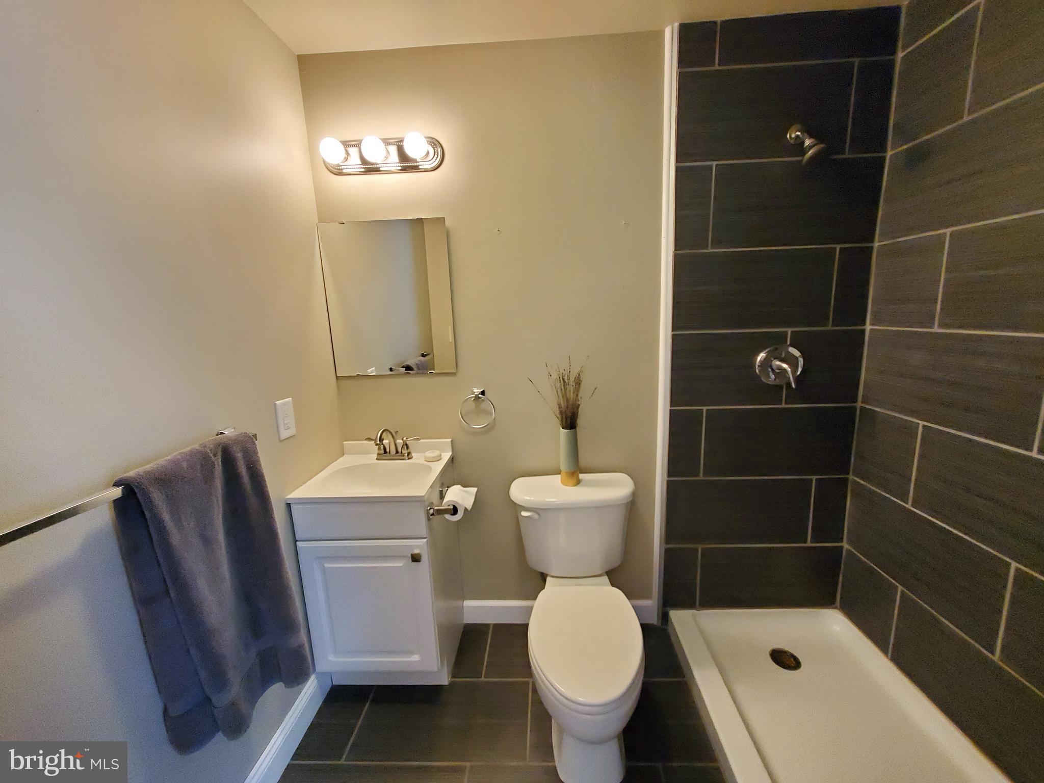 18920 Crofton Road Hagerstown, MD 21742 - Photo 51 of 59 Master Bath