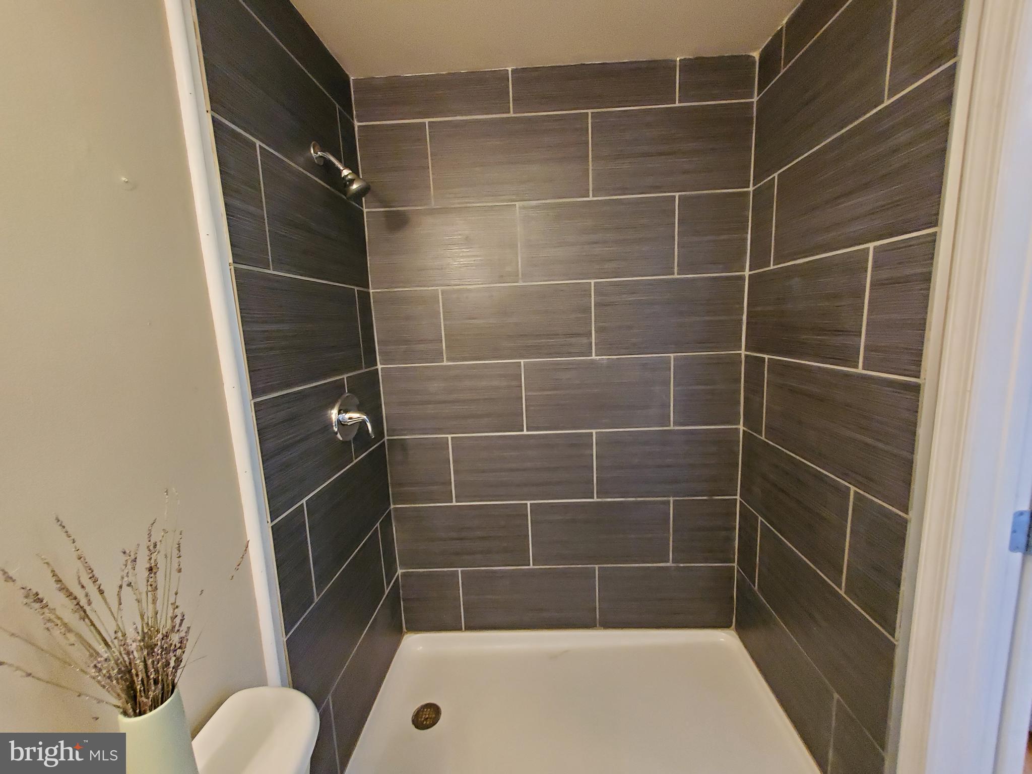 18920 Crofton Road Hagerstown, MD 21742 - Photo 52 of 59 Master Bath