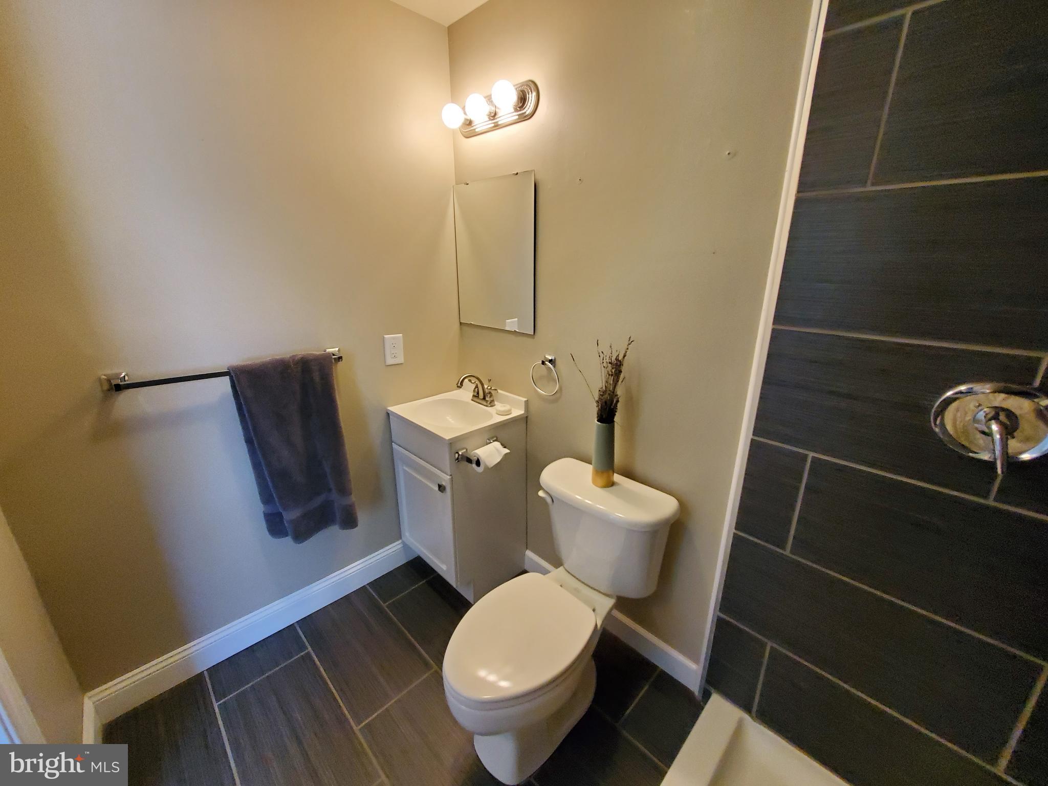 18920 Crofton Road Hagerstown, MD 21742 - Photo 53 of 59 Master Bath