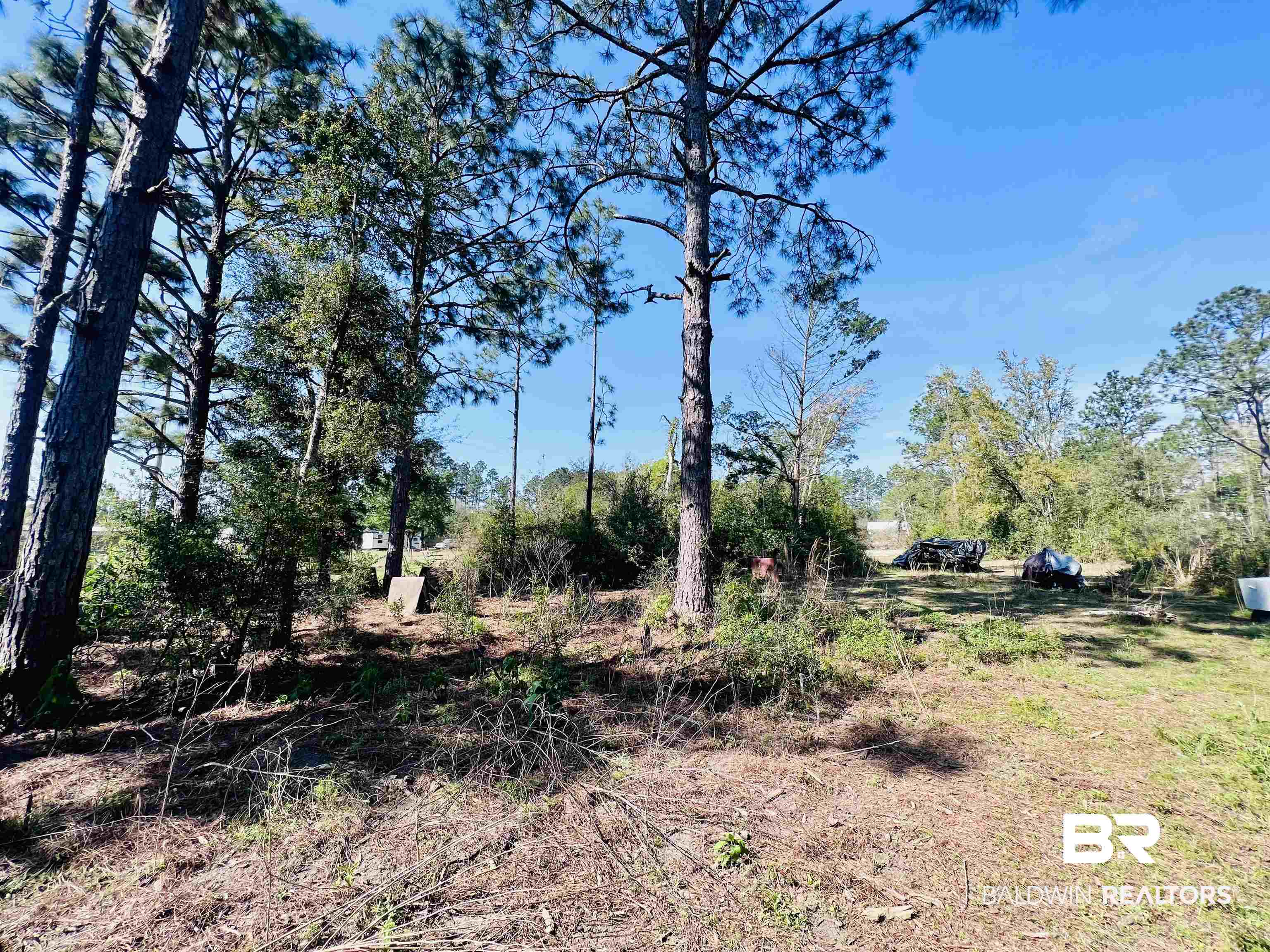 19338 3 Rivers Road Seminole, AL 36574 - Photo 5 of 20