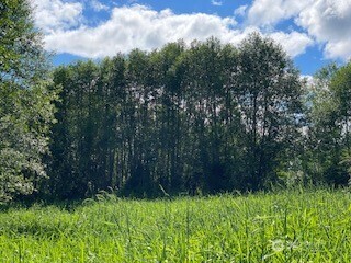 0 Boistfort Road Curtis, WA 98538 - Photo 11 of 24