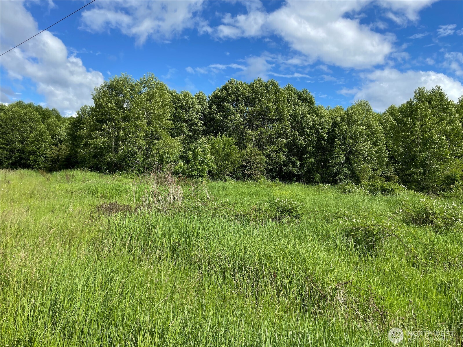 0 Boistfort Road Curtis, WA 98538 - Photo 12 of 24