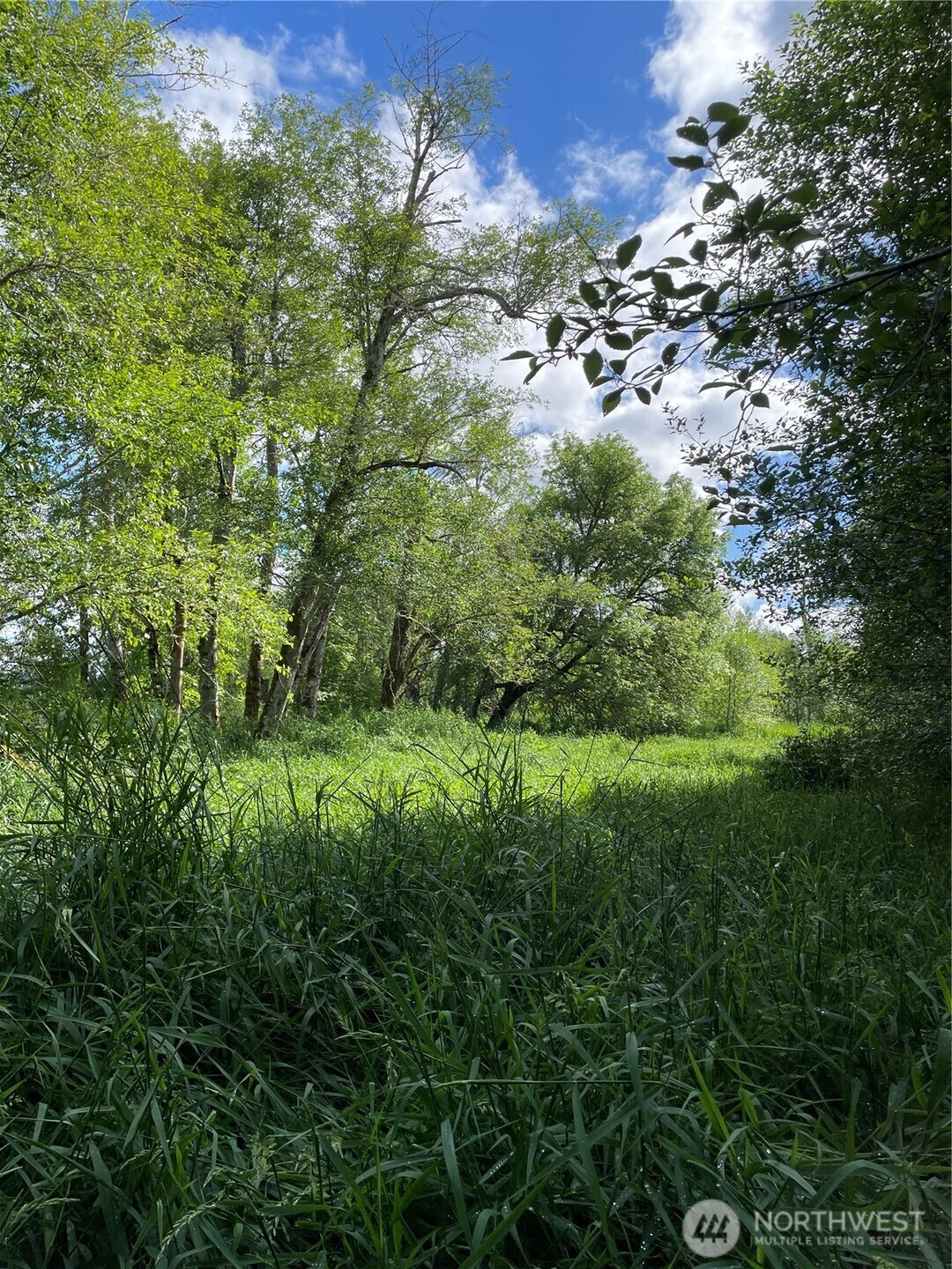 0 Boistfort Road Curtis, WA 98538 - Photo 15 of 24