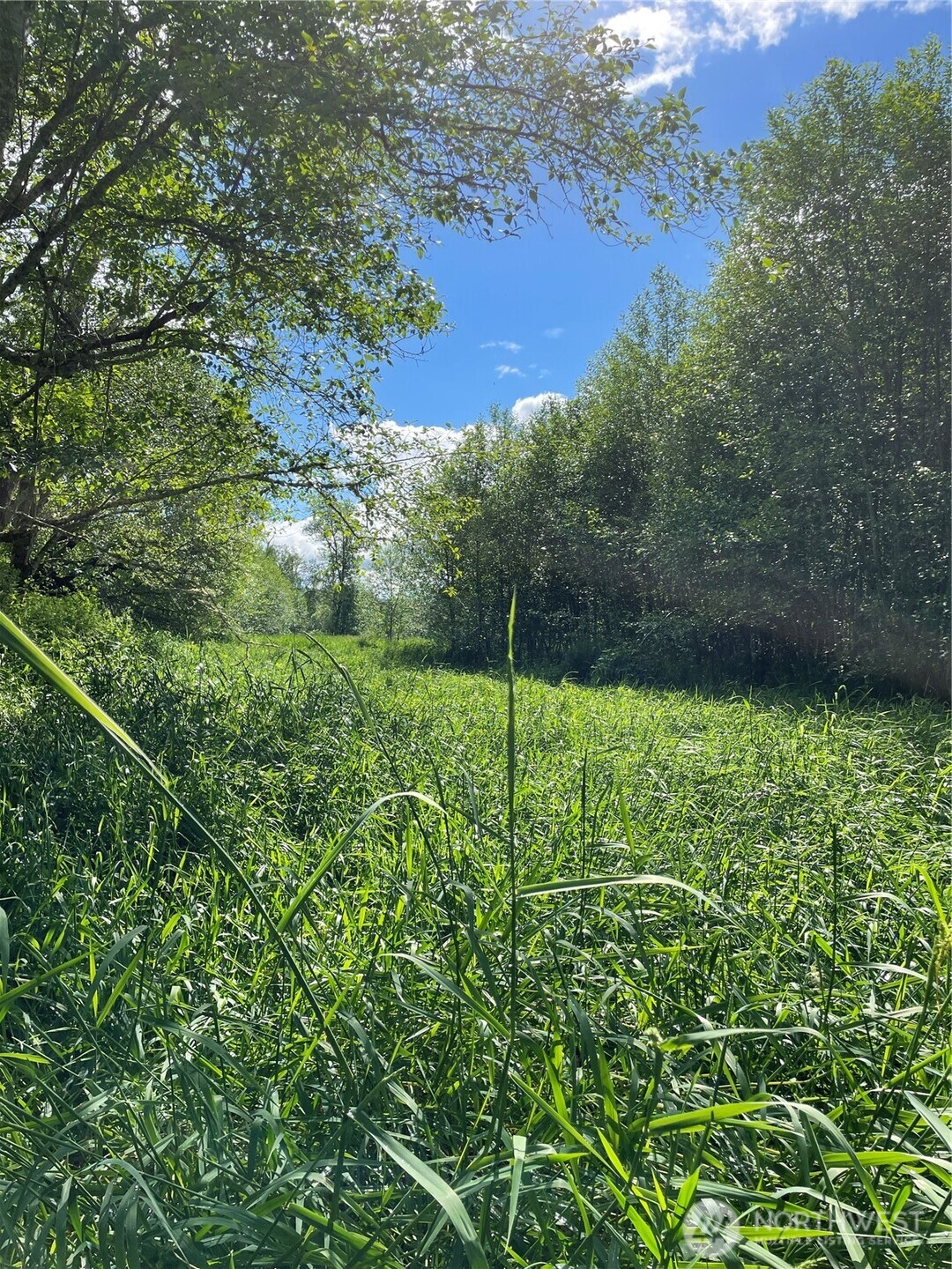 0 Boistfort Road Curtis, WA 98538 - Photo 16 of 24