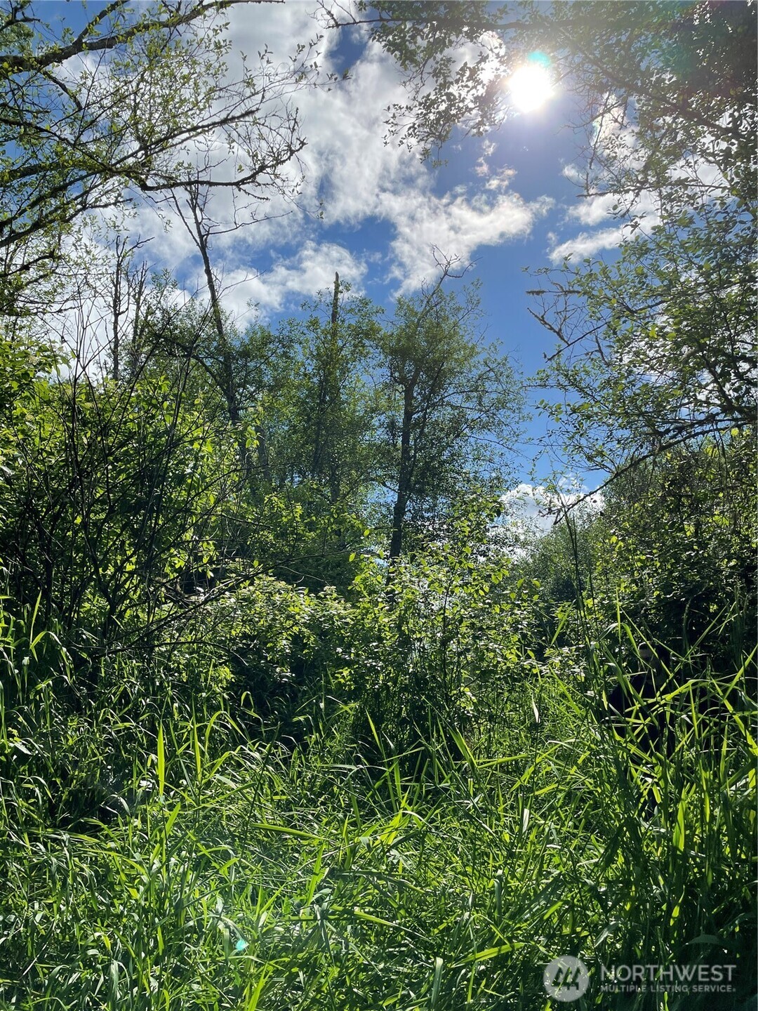 0 Boistfort Road Curtis, WA 98538 - Photo 17 of 24