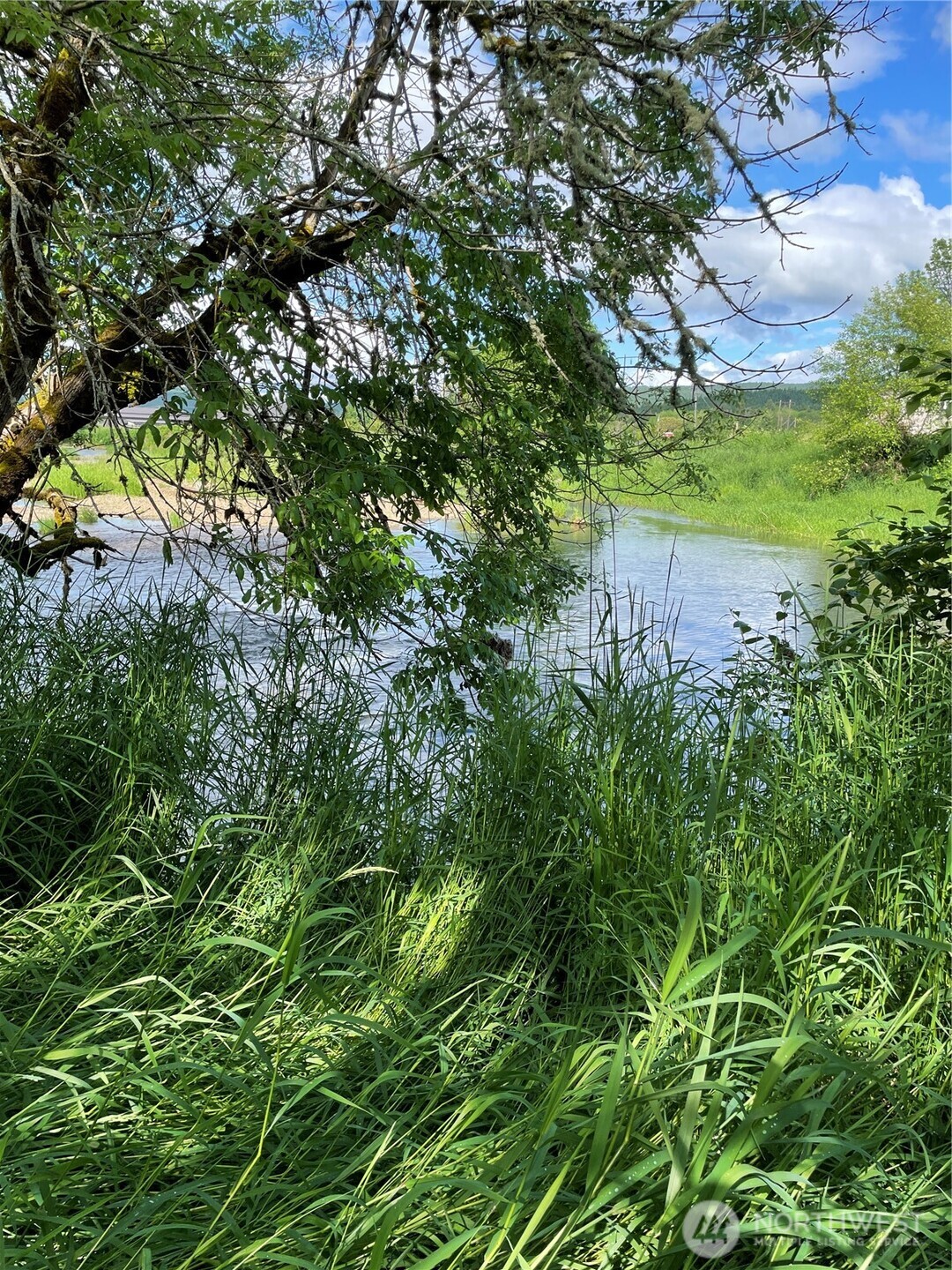 0 Boistfort Road Curtis, WA 98538 - Photo 18 of 24