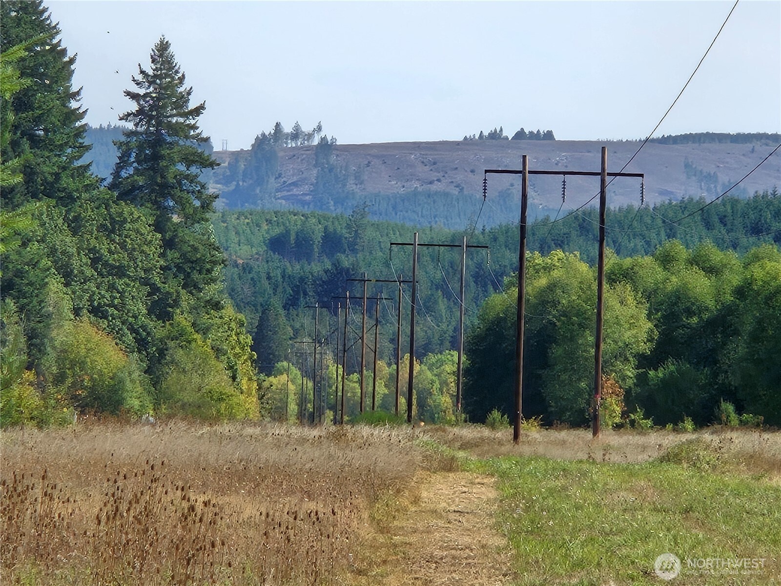 0 Boistfort Road Curtis, WA 98538 - Photo 19 of 24