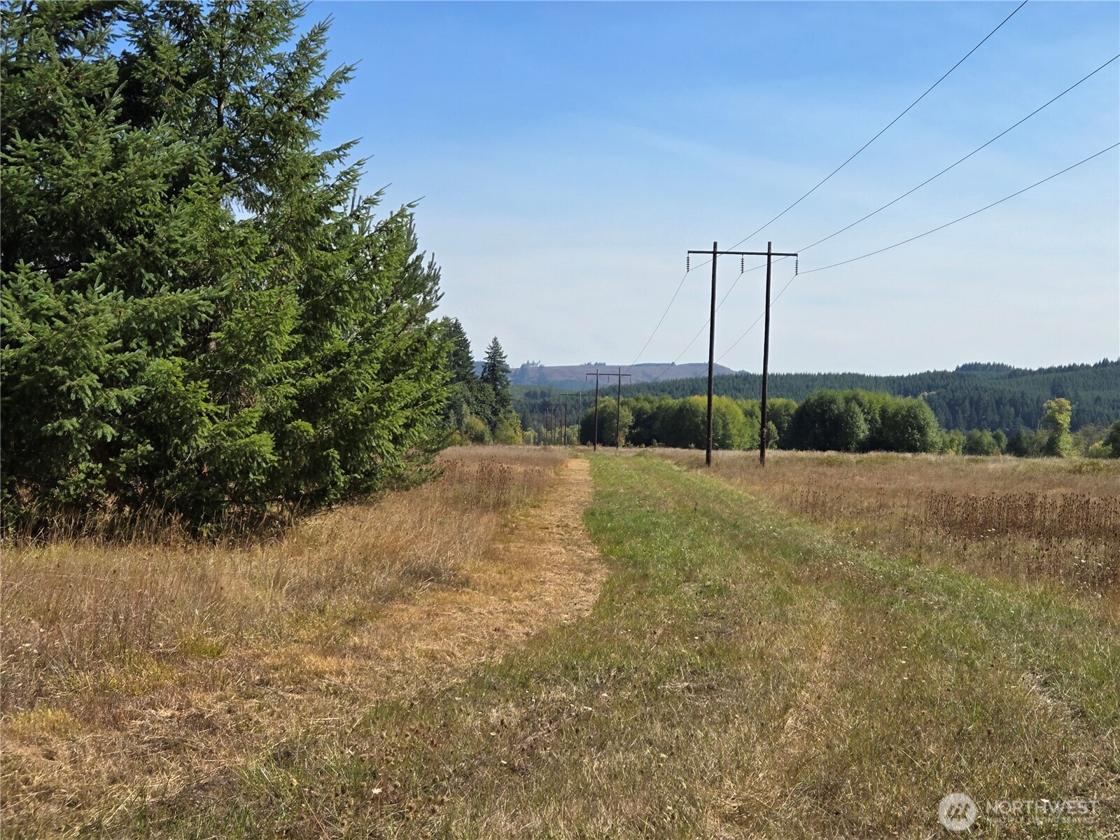 0 Boistfort Road Curtis, WA 98538 - Photo 20 of 24