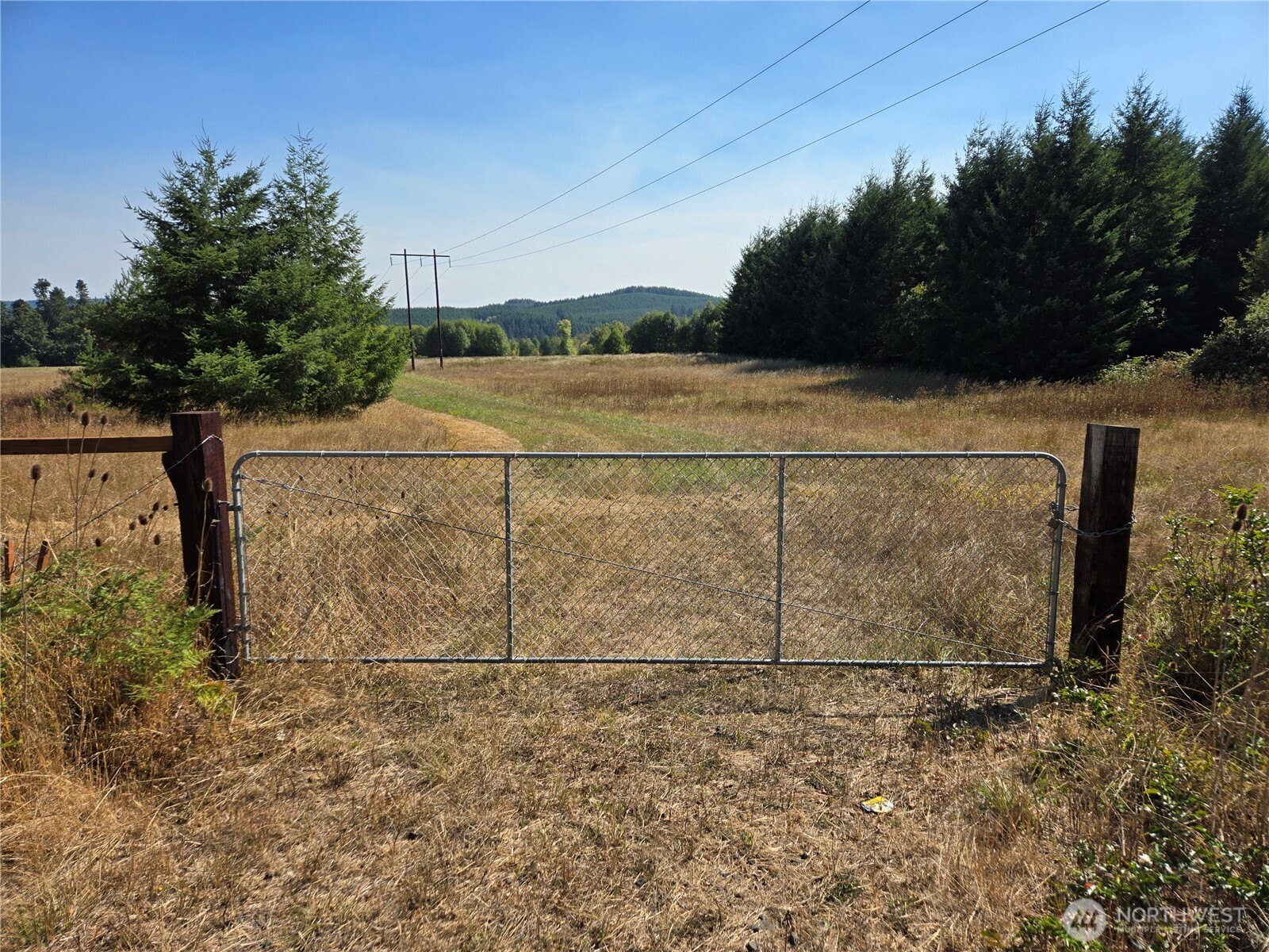 0 Boistfort Road Curtis, WA 98538 - Photo 2 of 24