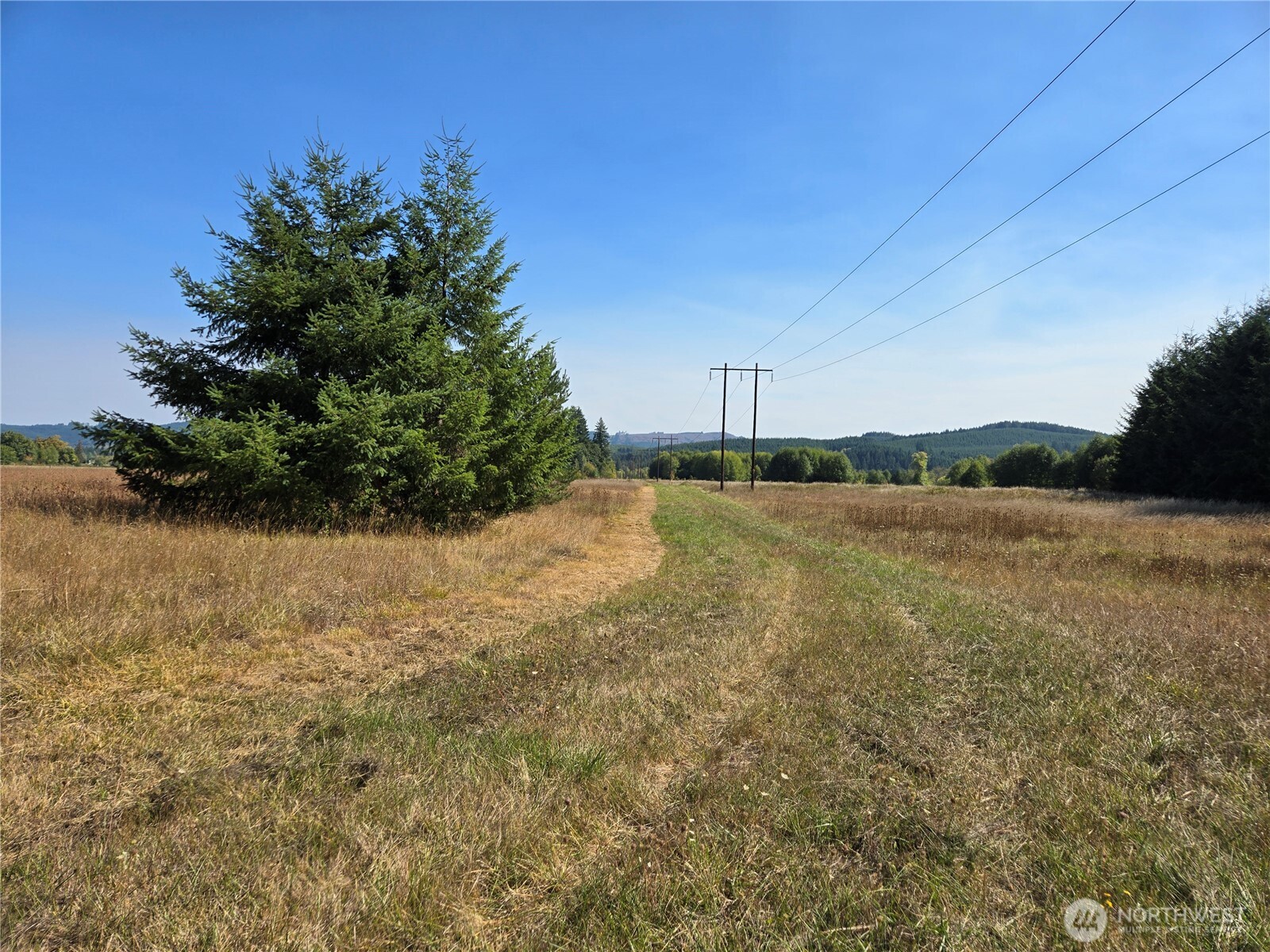 0 Boistfort Road Curtis, WA 98538 - Photo 21 of 24