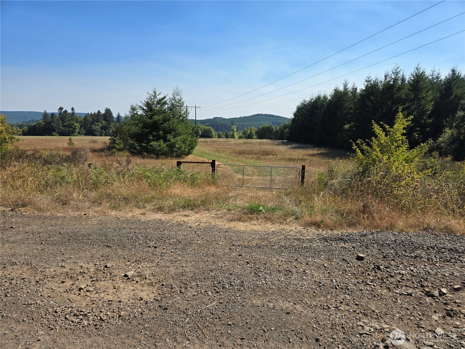 0 Boistfort Road Curtis, WA 98538 - Photo 22 of 24