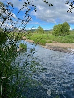 0 Boistfort Road Curtis, WA 98538 - Photo 3 of 24